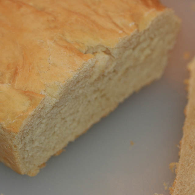 Basic Bread Dough