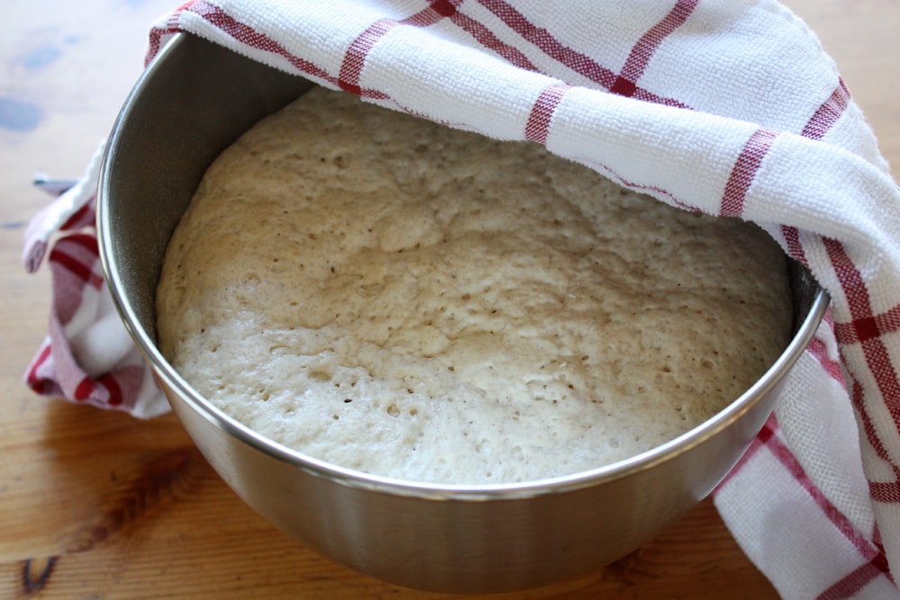 rising crockpot peasant bread dough in bowl