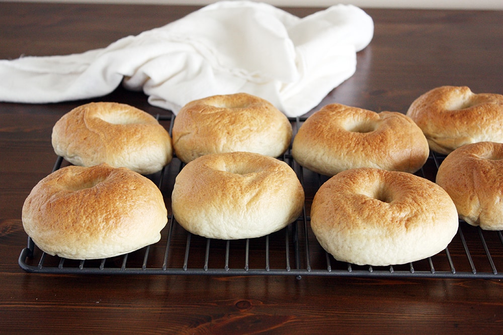 new york style bagels on cooling rack