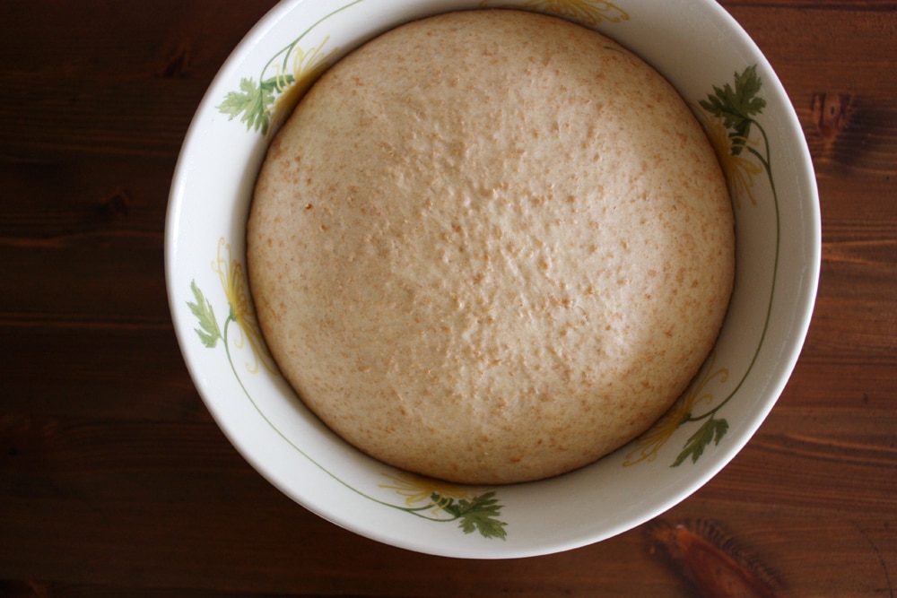 brioche dough rising in bowl