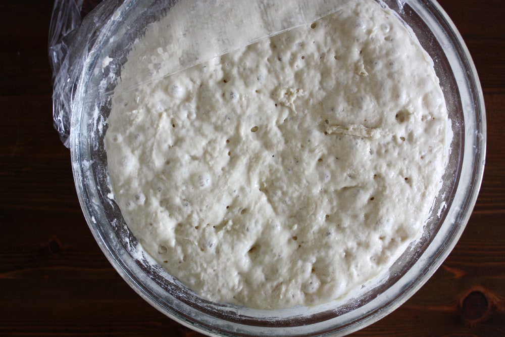 no knead pizza dough in bowl