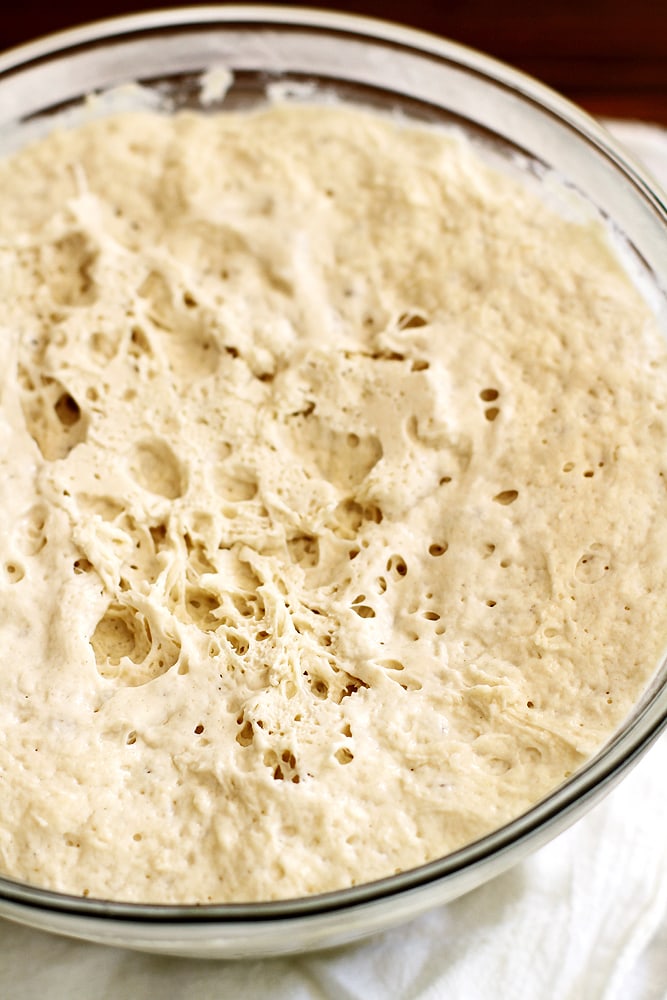 no knead naan dough in bowl