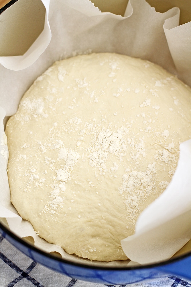 bread dough in a dutch oven