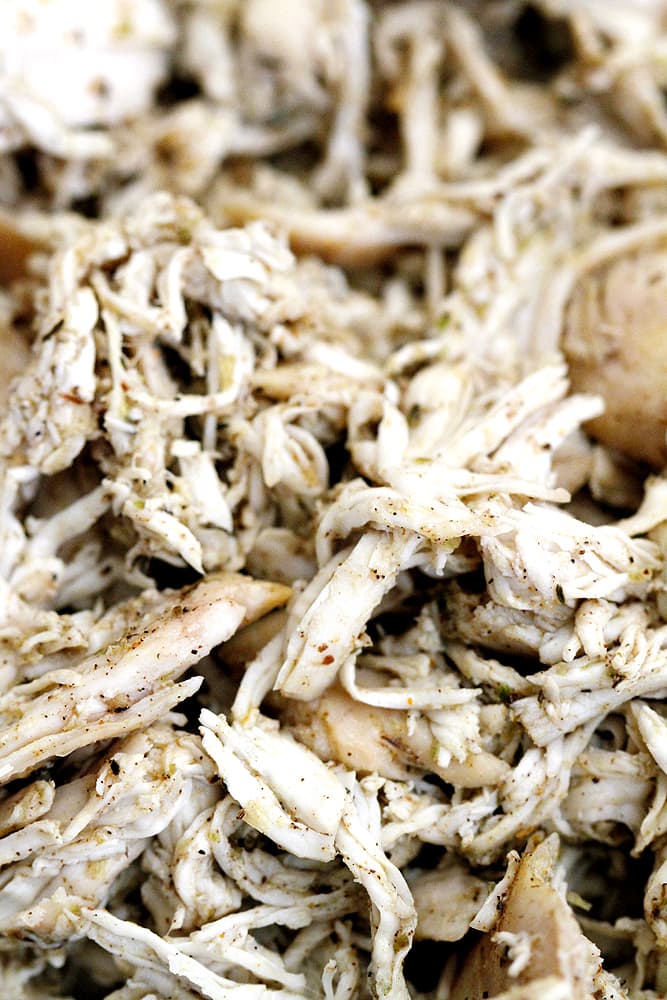 close up caribbean jerk chicken
