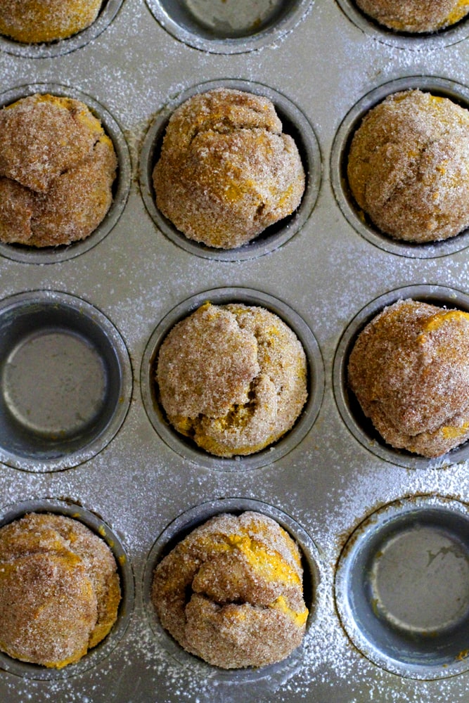 pumpkin chai doughnut muffins in muffin tin