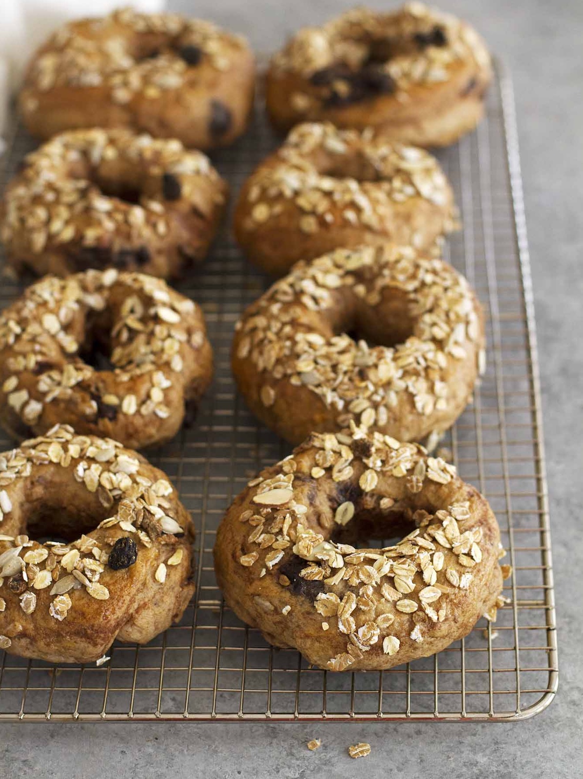 baked chocolate chip bagels on wire cooling rack.