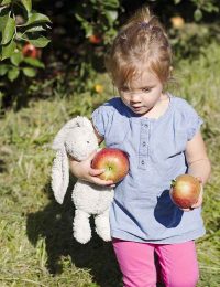 avery at the apple orchard