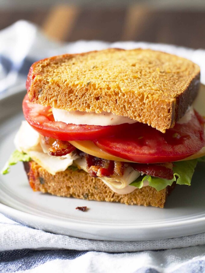 panera bread bacon turkey bravo sandwich on white plate.