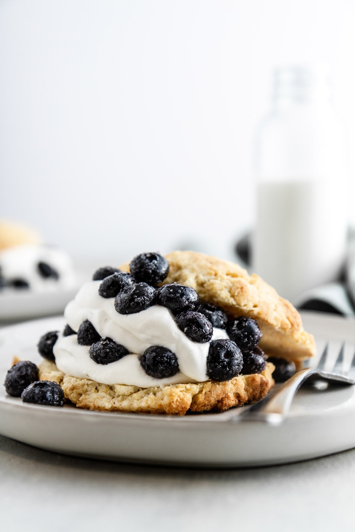 blueberry shortcake on a plate with a glass of milk in the background