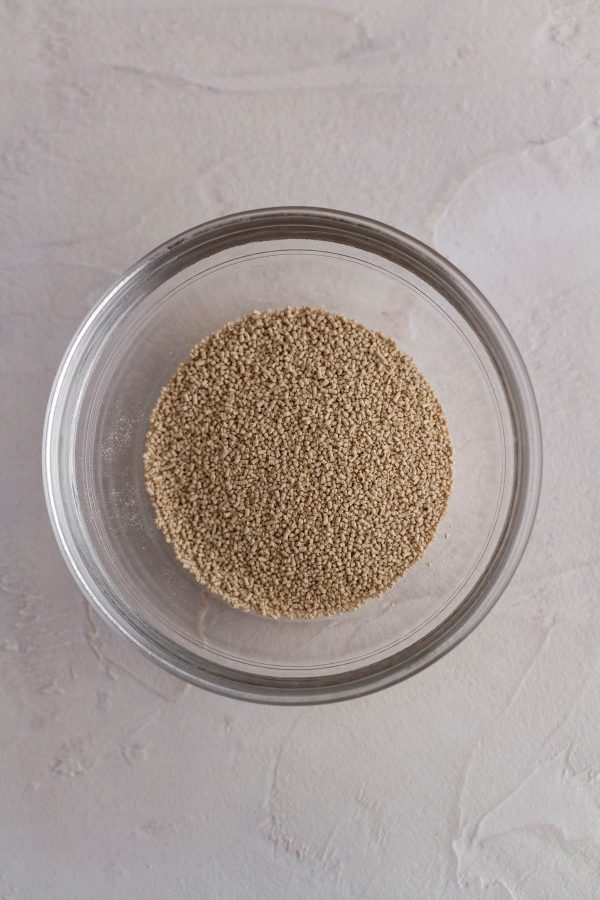 bowl of active dry yeast