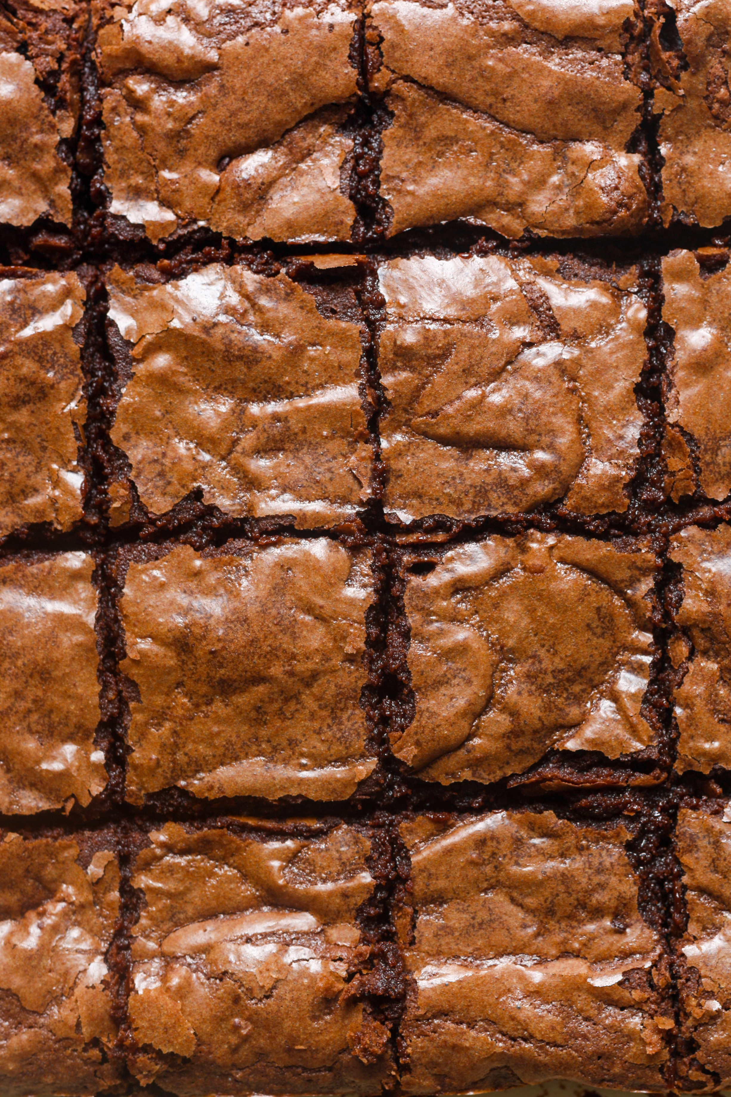 Squares of fudge brownies.