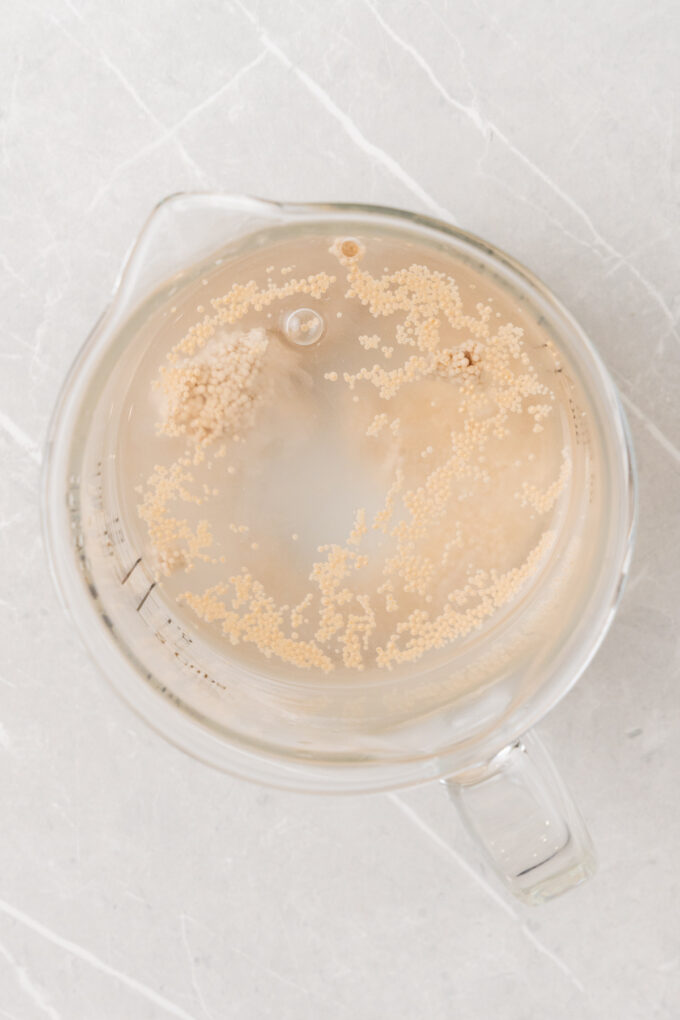 Yeast in water.