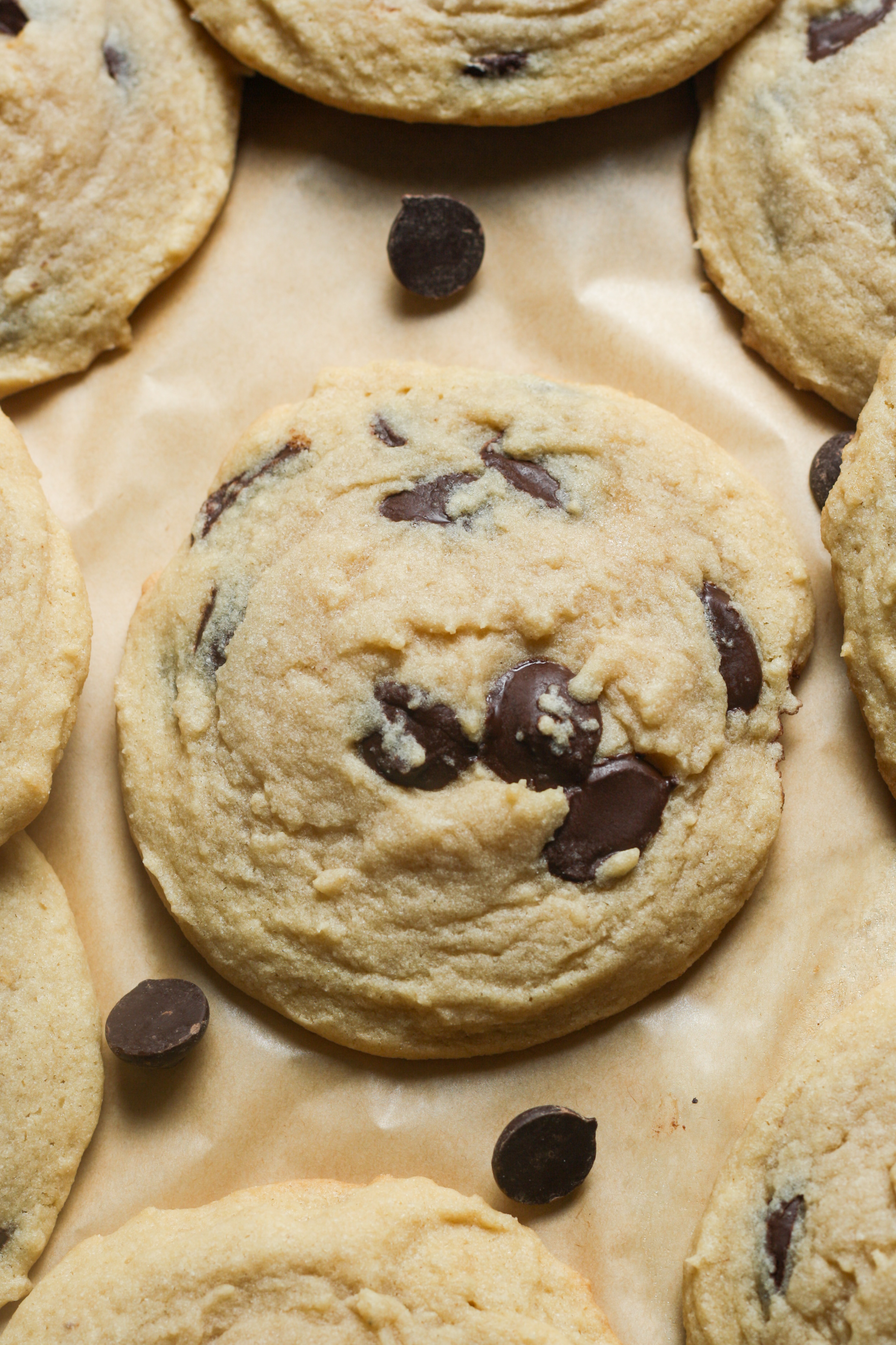 Gooey chocolate chip cookies.