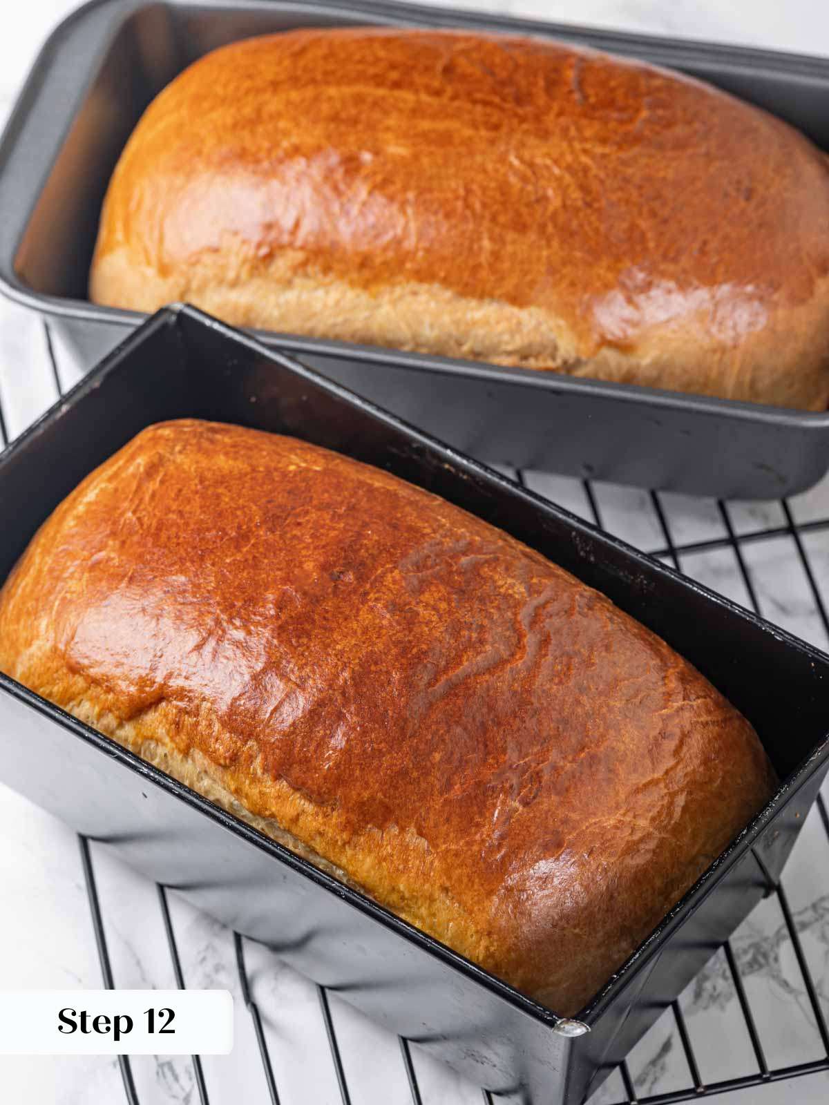 2 baked brioche loaves in metal pans.