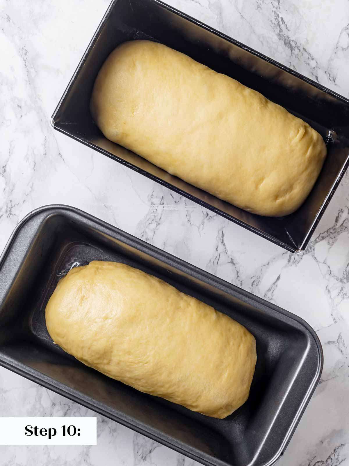 2 shaped loaves of brioche before proofing.
