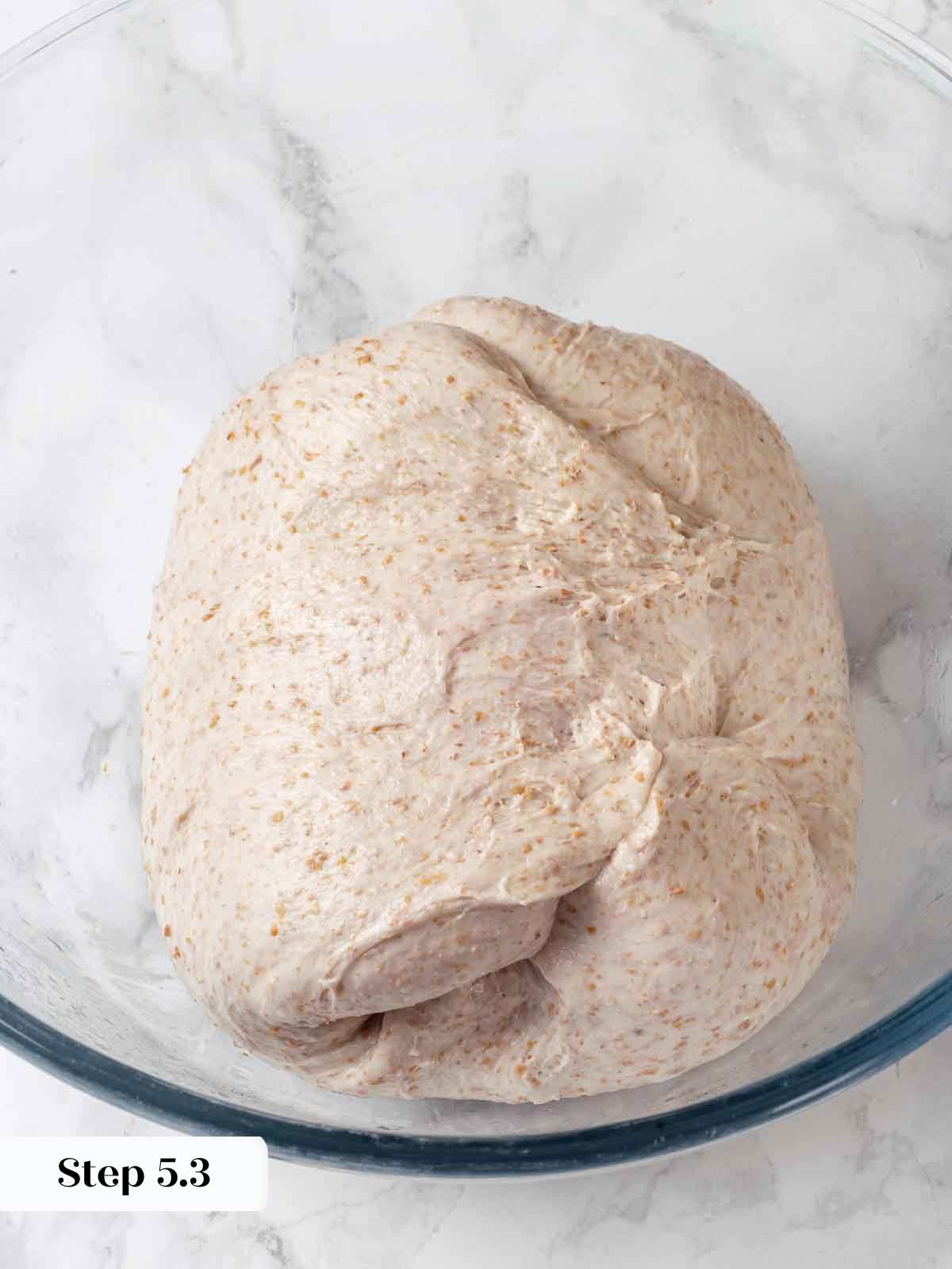 Whole Wheat Sourdough Bread - Girl Versus Dough