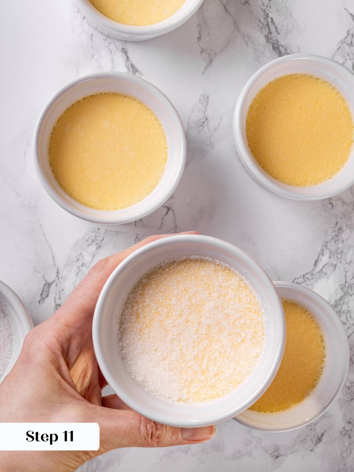 Creme brulee custard with an even layer of sugar before caramelizing.