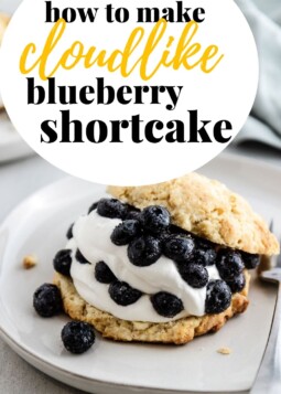 A single blueberry shortcake served on a plate with lemon zest.