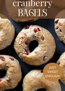 Eight freshly baked cranberry walnut bagels cooling, ready for breakfast or snacking.