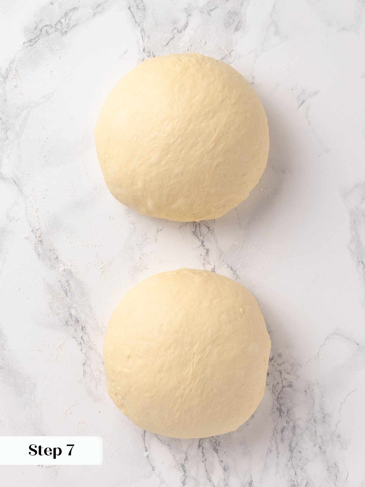 Soft boules of French bread dough shaped and ready to rest before forming b&acirc;tards.