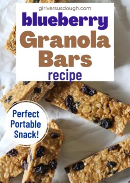 Blueberry granola bars on parchment paper with a callout noting they are a perfect portable snack.