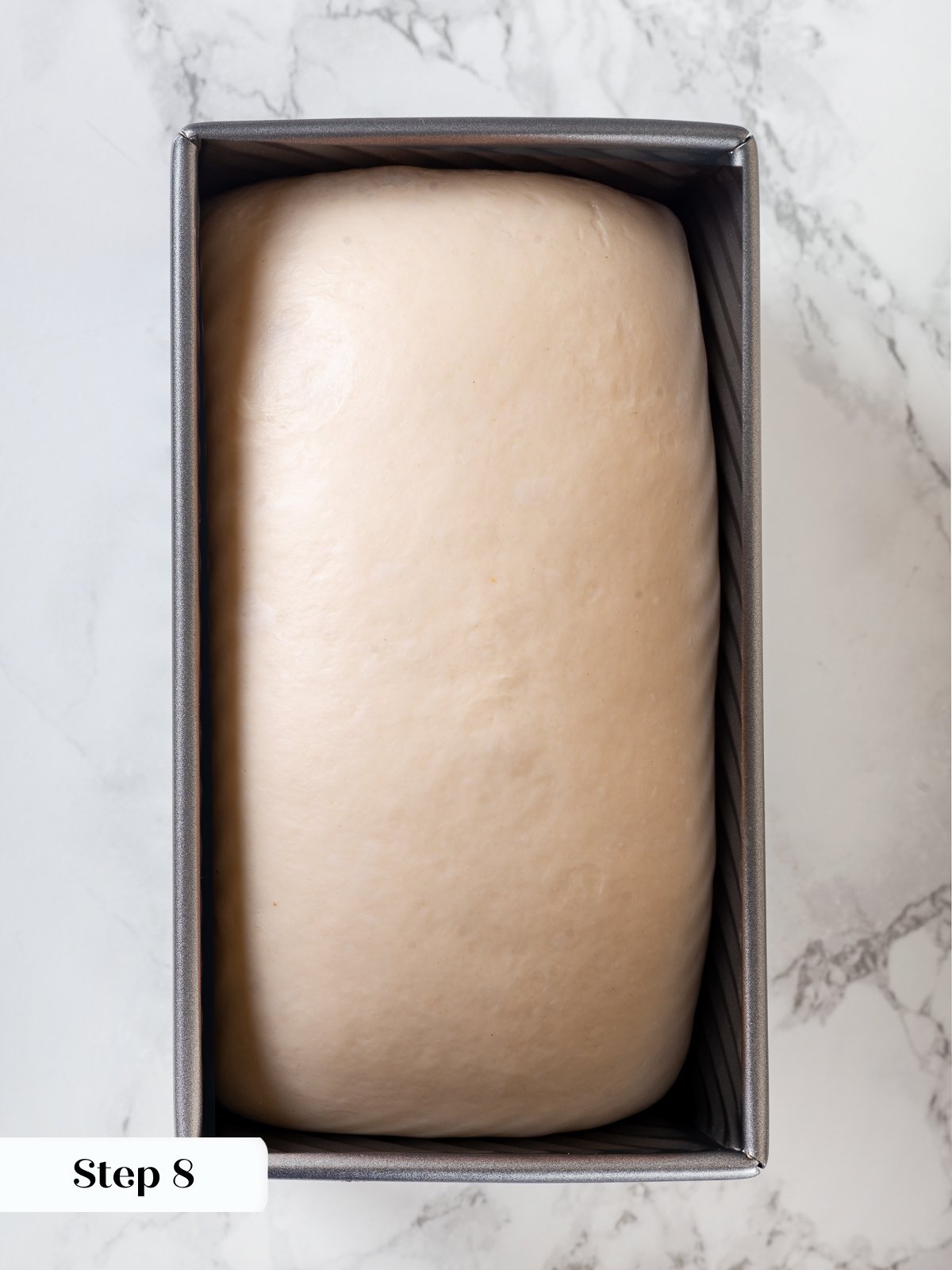 Dough fully risen in loaf pan after final proof, ready to bake into bread.