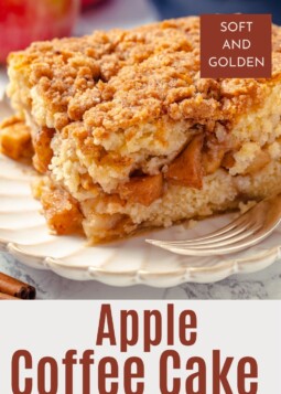 Apple coffee cake with layers of cinnamon sugar apples and a crunchy brown sugar topping.