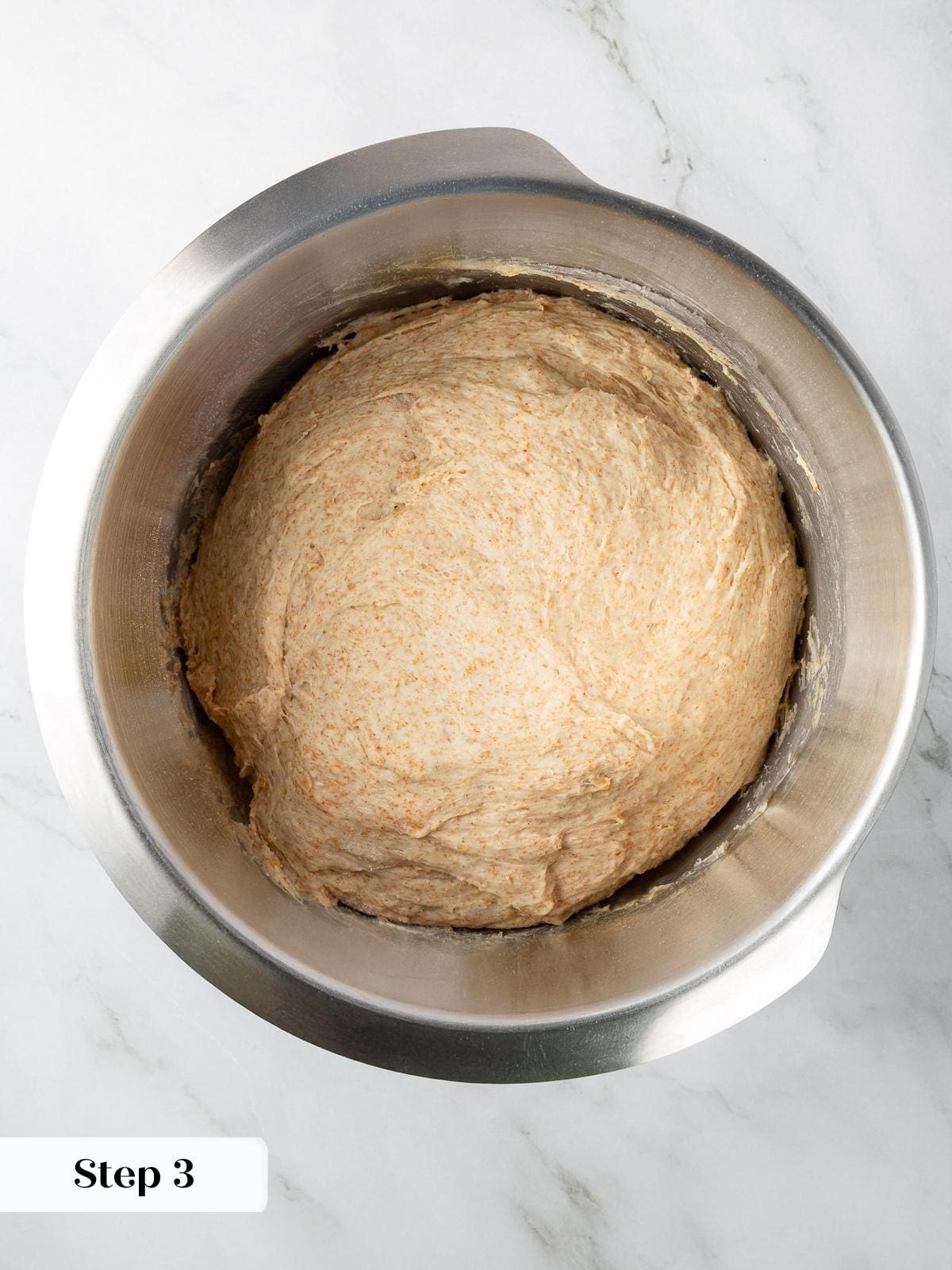 Dough mixed and kneaded, resting before seeds are folded in.