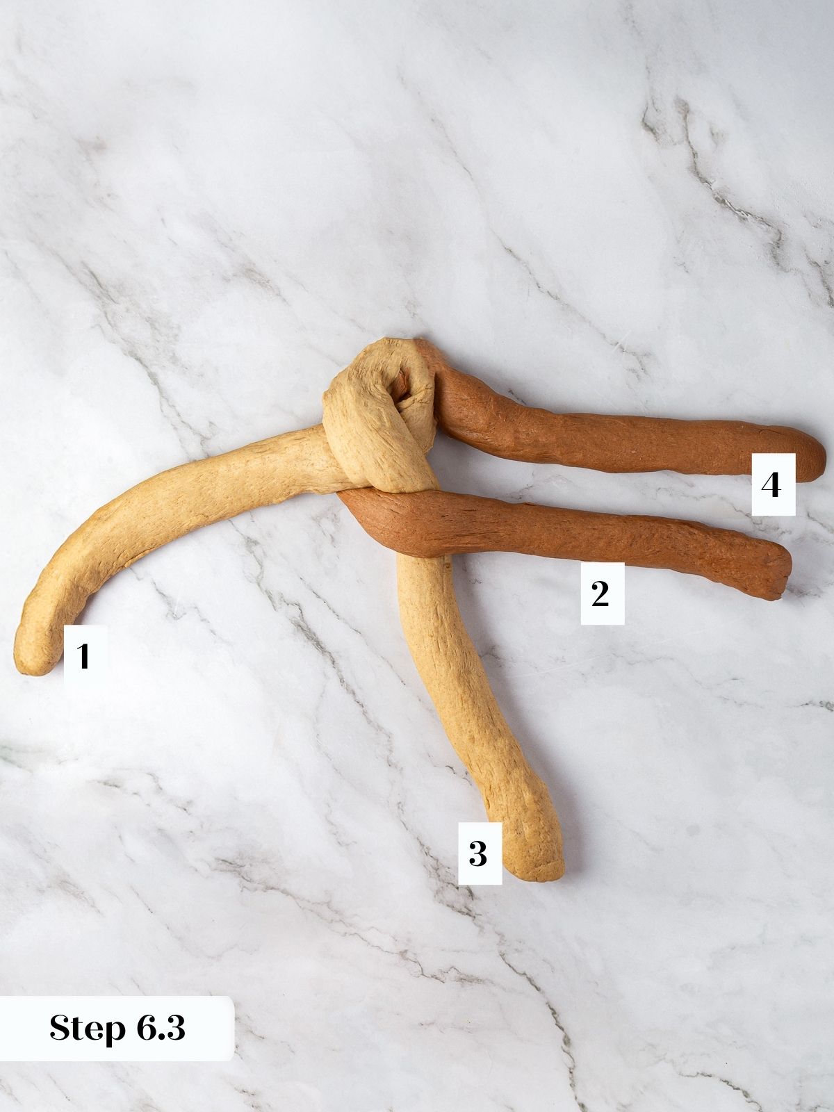 Starting braid of rye dough showing first few overlaps of light and dark sections.