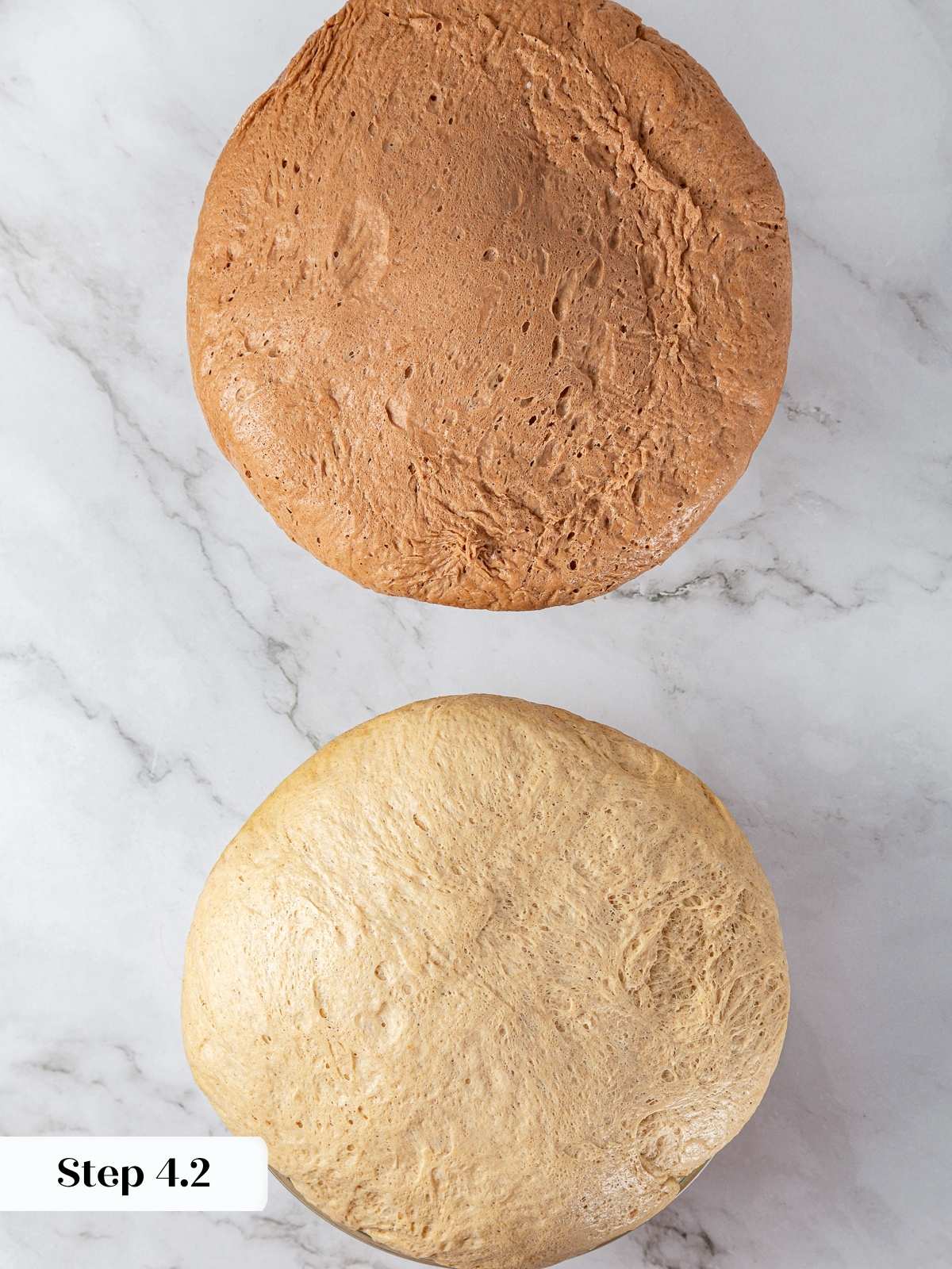 Two bowls showing risen light and dark rye doughs doubled in size after proofing.