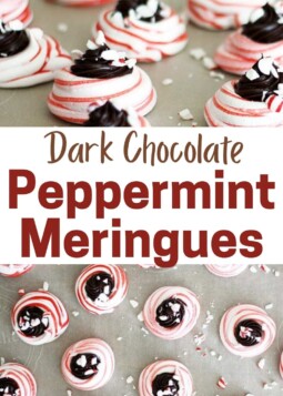 Red and white peppermint meringue swirls with dark chocolate center topped and crushed peppermint topping.