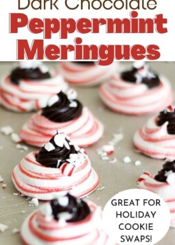 Red and white peppermint meringue swirls with dark chocolate center topped and crushed peppermint topping.