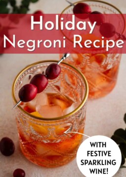 Holiday negroni cocktail in a glass with ice cubes, and garnished with orange peel and cranberries.
