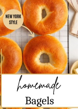 Rustic bagels arranged neatly, each one shaped by hand and baked to a golden finish.
