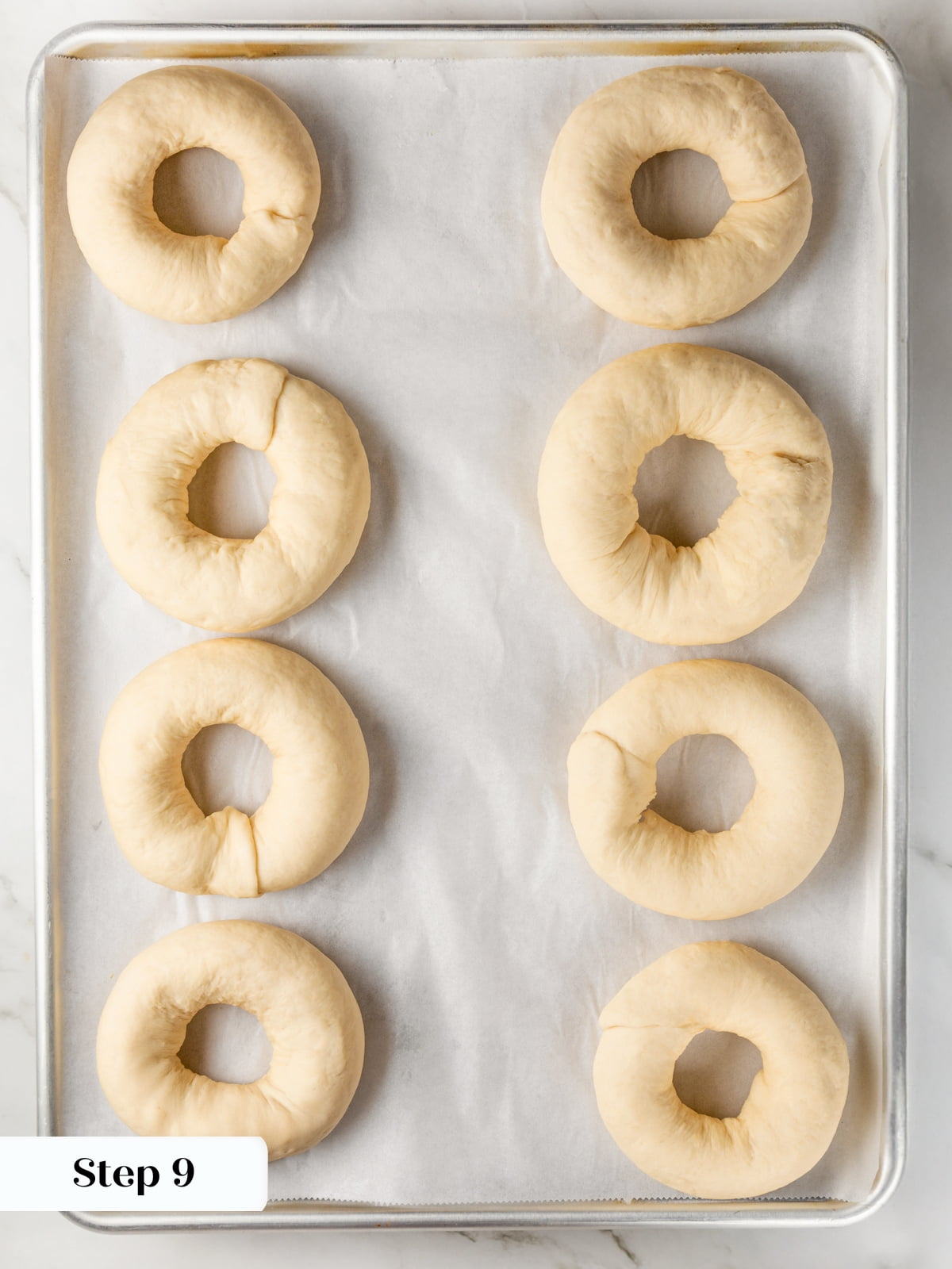 Shaped bagels arranged on parchment paper preparing for proofing before simmering.