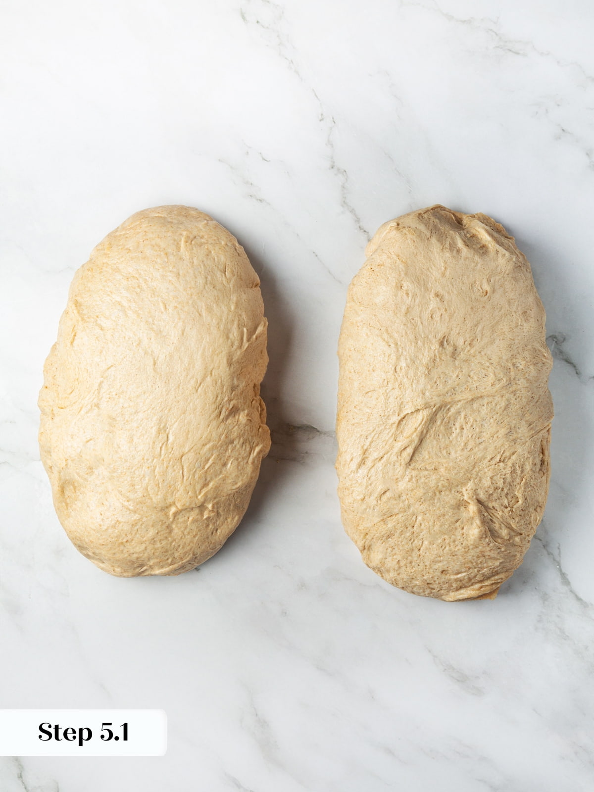 Two dough sections prepared for forming, each sized for a soft loaf of homemade rye bread.