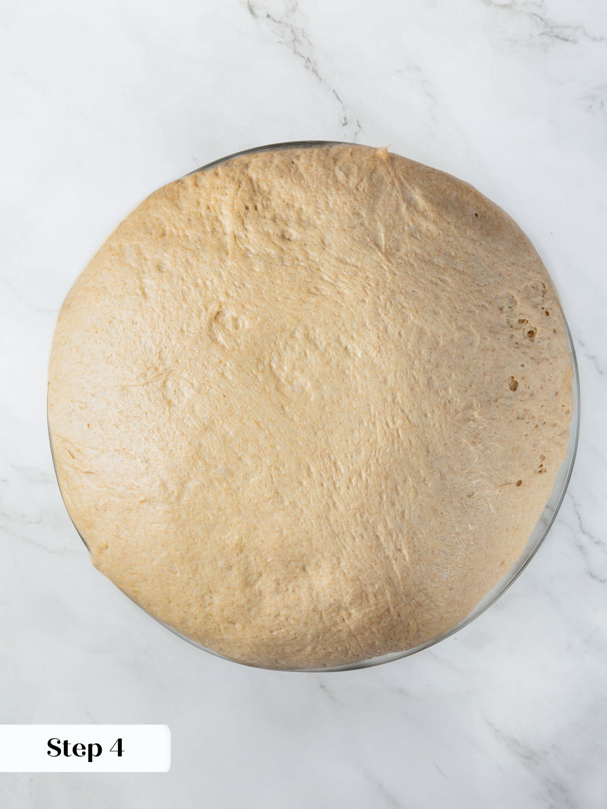 Fully risen dough ready to divide and form into loaves for baking.