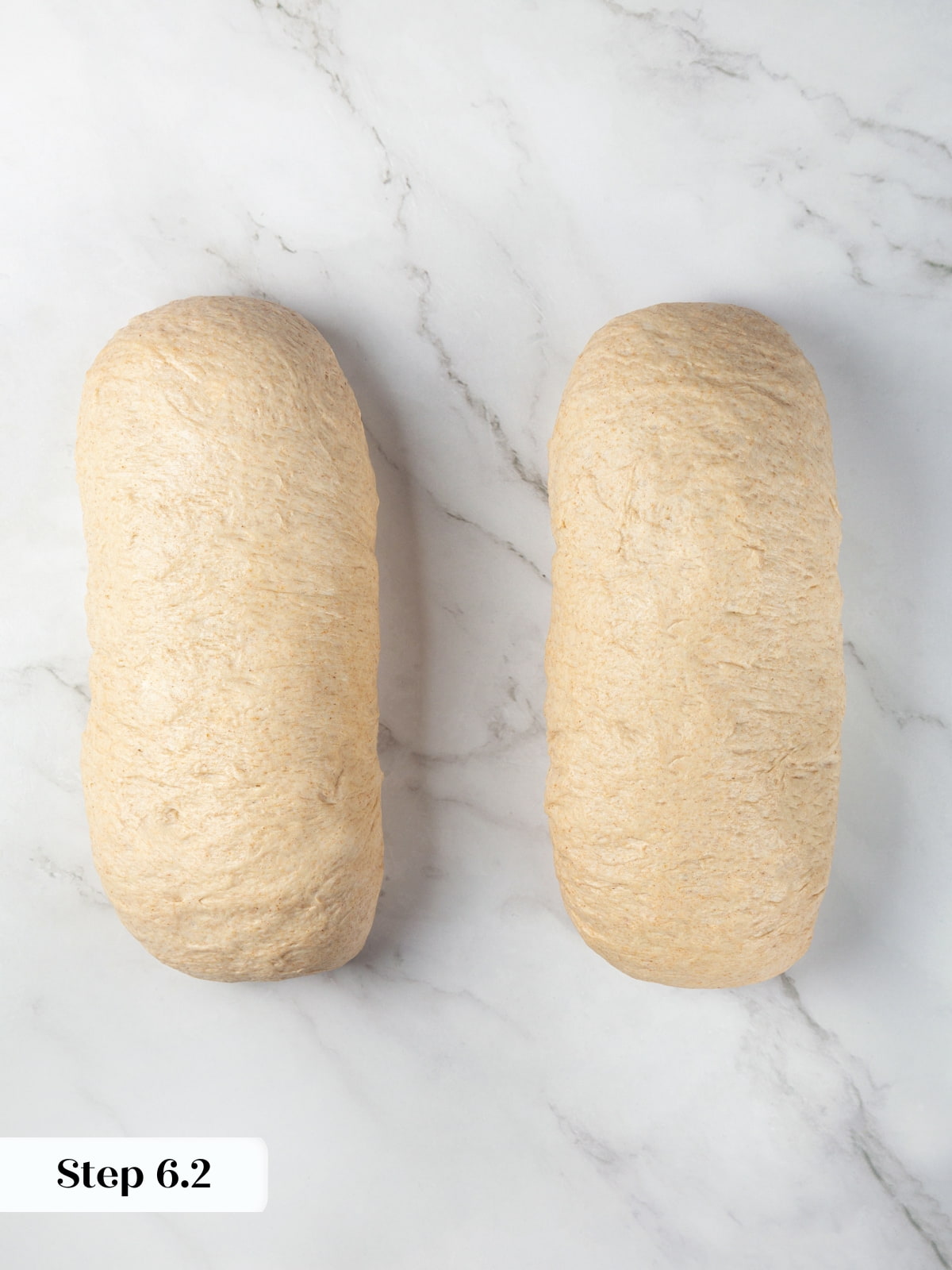 Two shaped rye dough logs sitting on the counter before rising for the final proof.