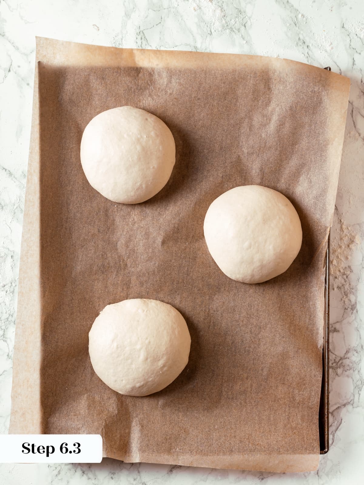 Round sourdough boules placed on parchment and prepared for proofing.