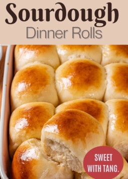 Soft sourdough dinner rolls arranged in a baking dish with buttery tops ready to serve.