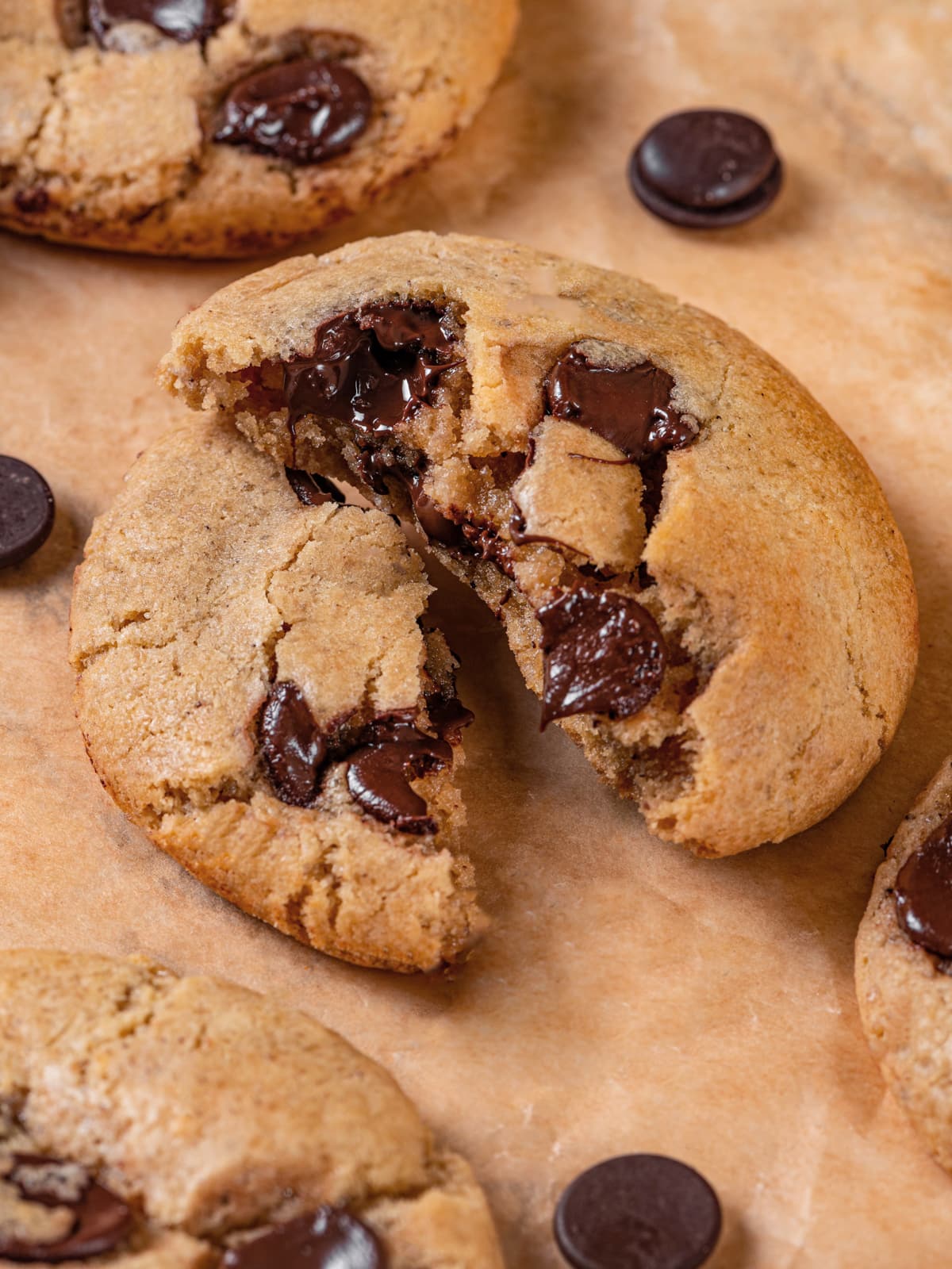 Broken sourdough chocolate chip cookie showing thick interior and melted chocolate pockets.