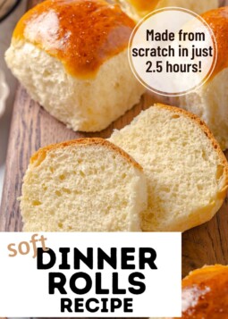 Dinner rolls split open to show soft tender crumb. Text overlay reads made from scratch in just 2.5 hours.