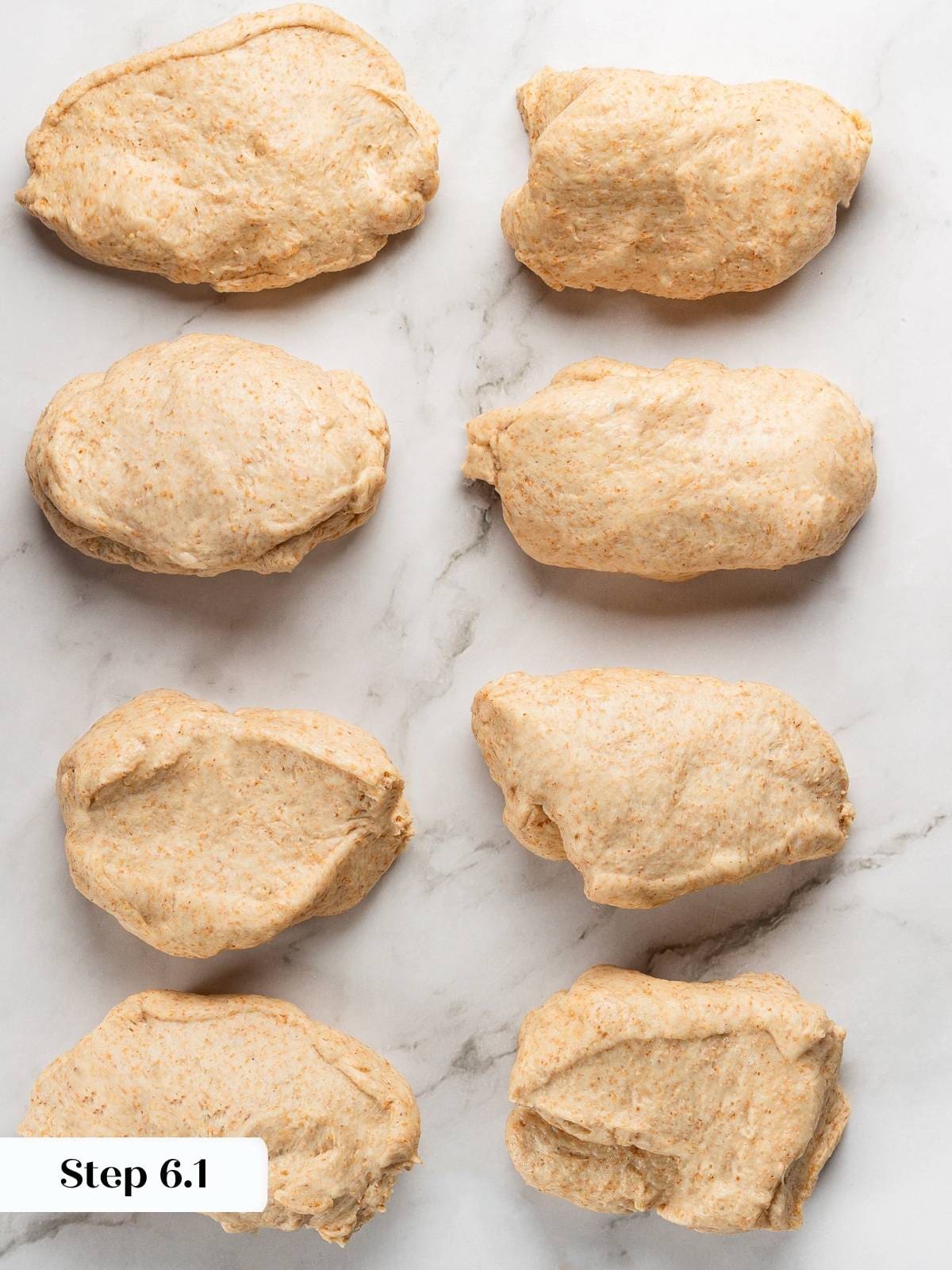 Pita dough divided into equal portions for shaping.