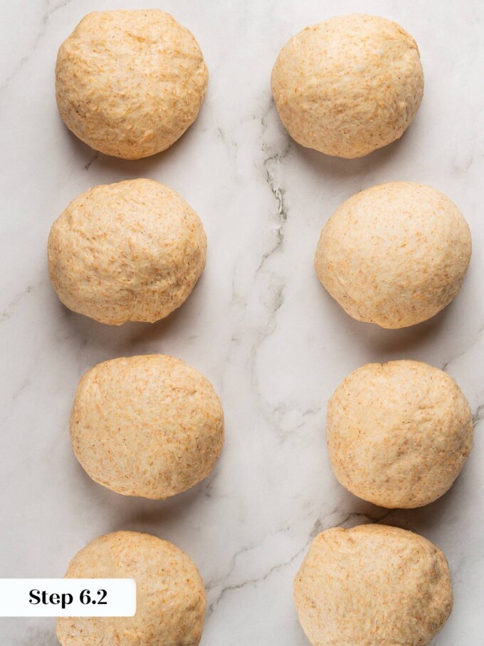 Dough portions preshaped into balls and resting briefly.