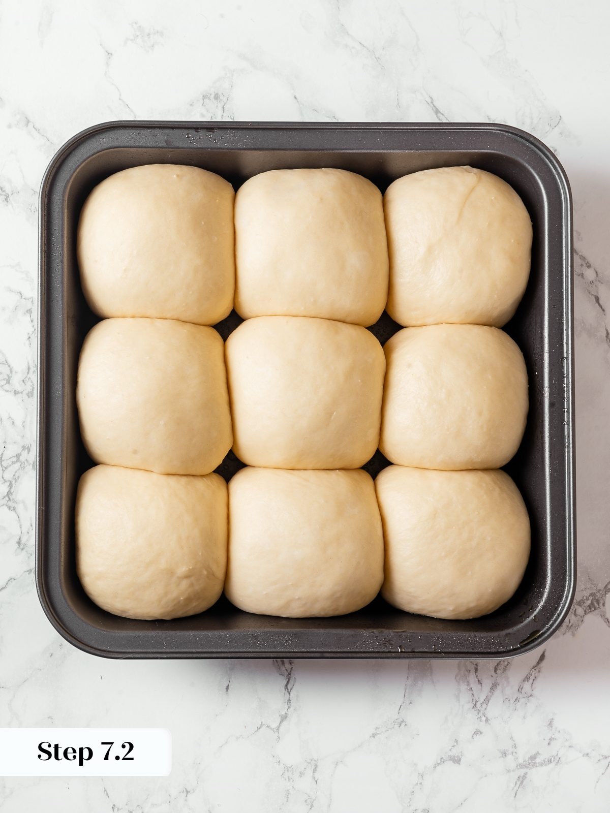 Milk bread rolls fully proofed and puffed in baking pan before baking.