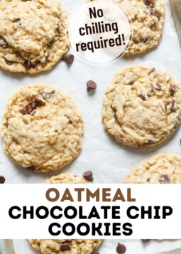 Soft oatmeal chocolate chip cookies arranged on parchment. Text overlay reads no chilling required.