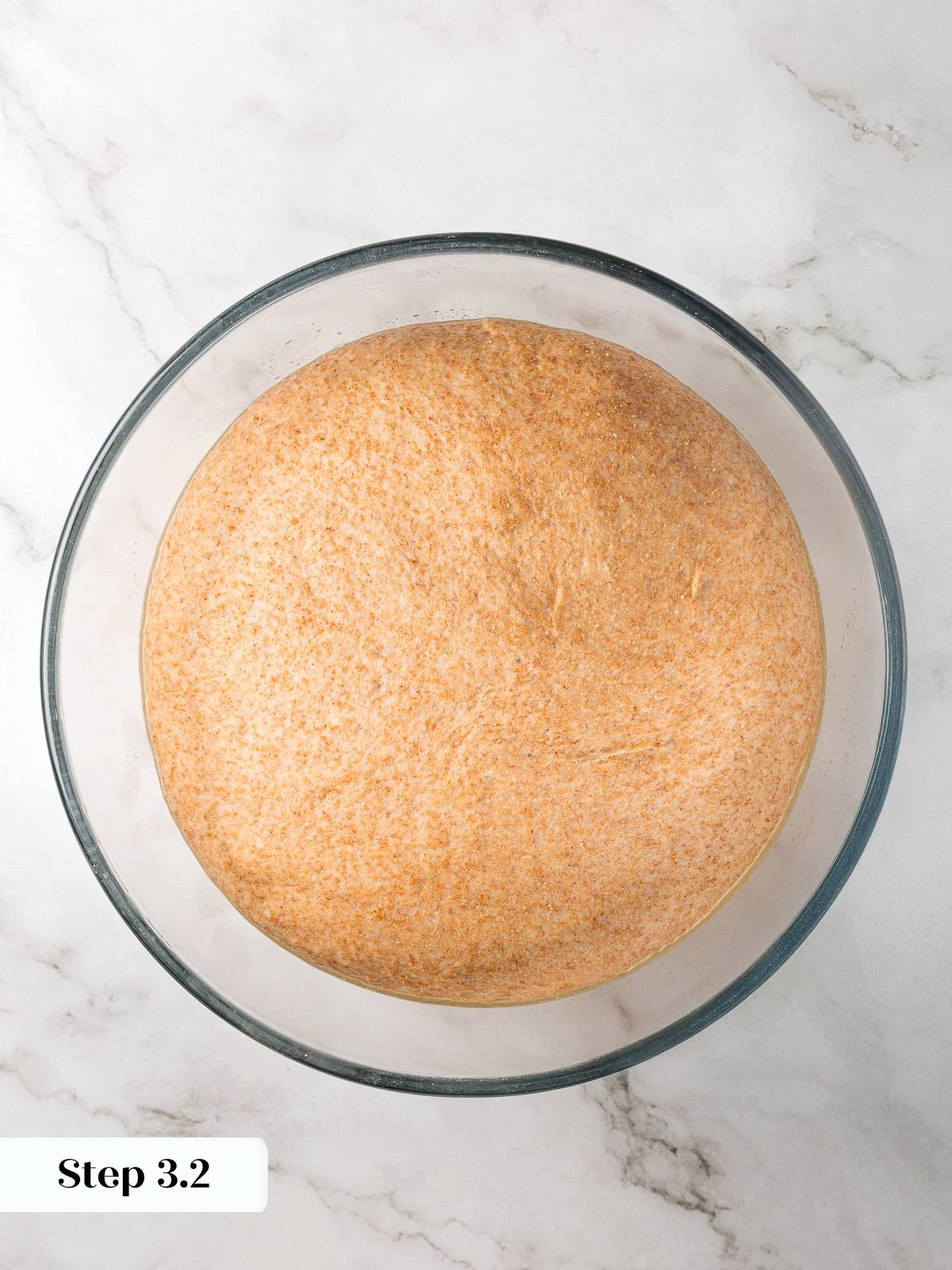 Whole wheat dough after first rise showing airy expanded structure.