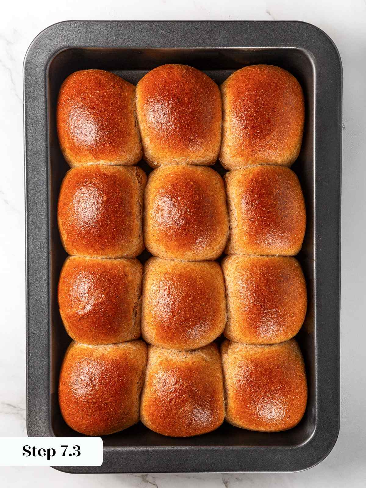 Freshly baked whole wheat dinner rolls golden brown in baking pan.