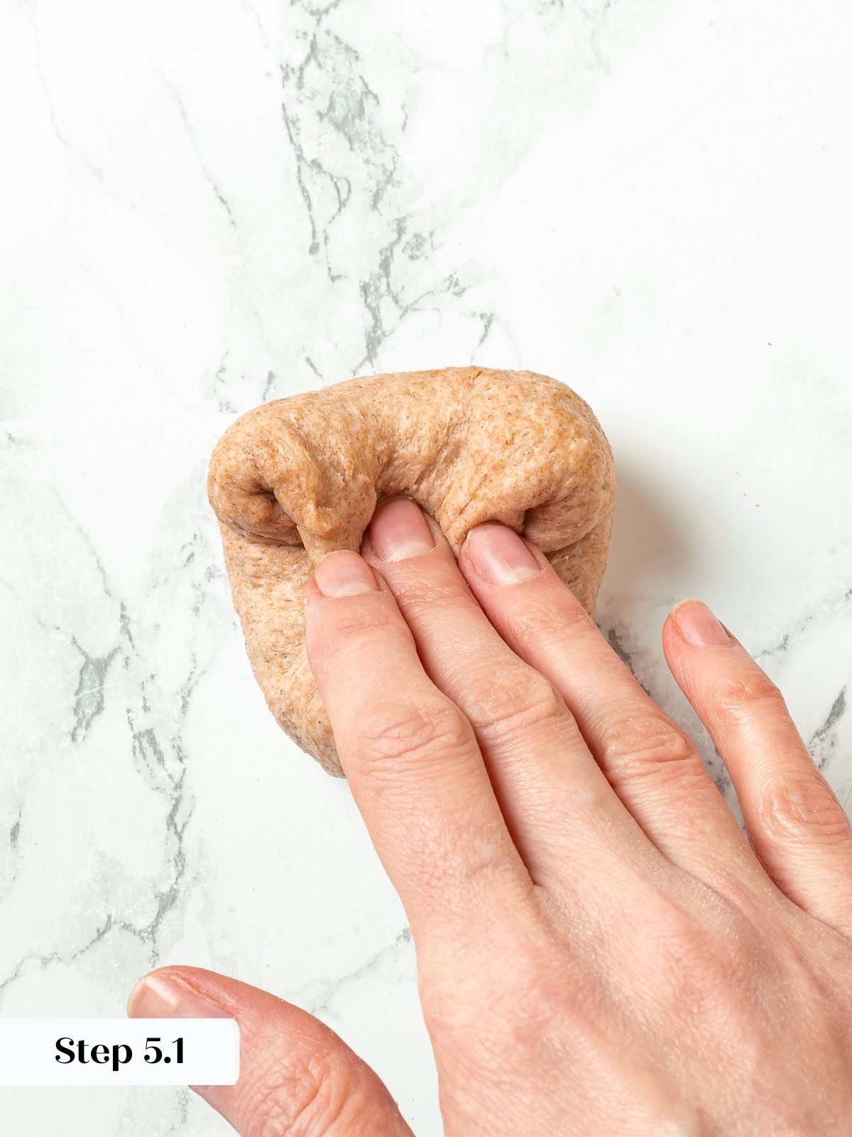 Hands folding dough to shape whole wheat dinner roll ball.