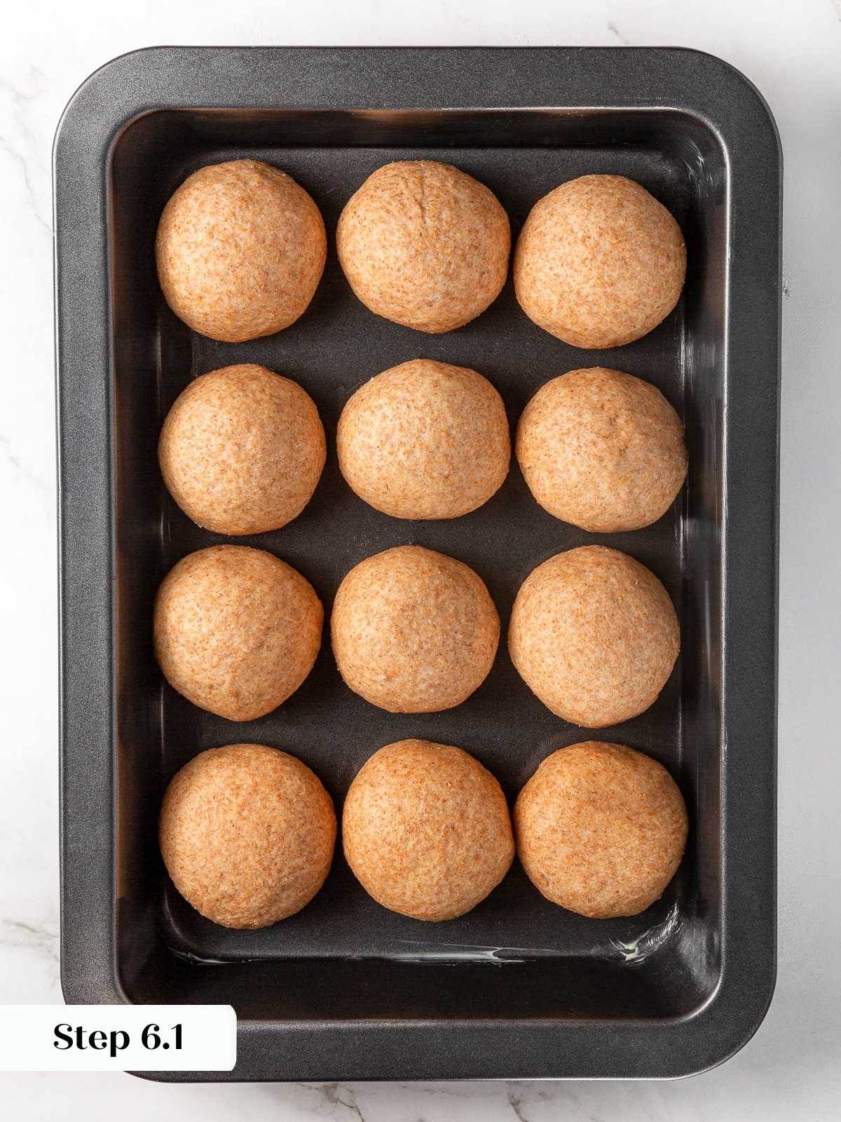 Shaped whole wheat dough balls resting in pan before proofing.